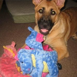 Meet your Posher, Brittany